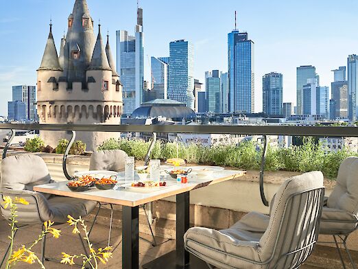 View from the rooftop terrace at the Flemings Selection Hotel in Frankfurt