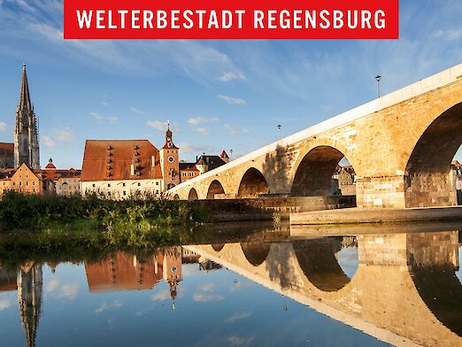 Panoramablick auf Regensburg mit Dom